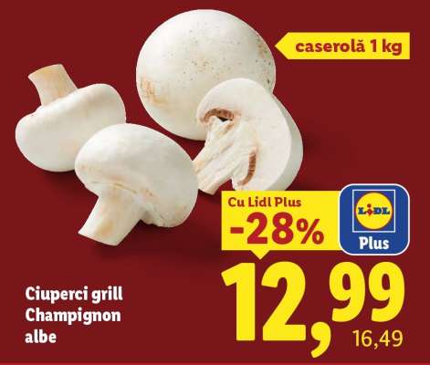 Ciuperci grill Champignon albe