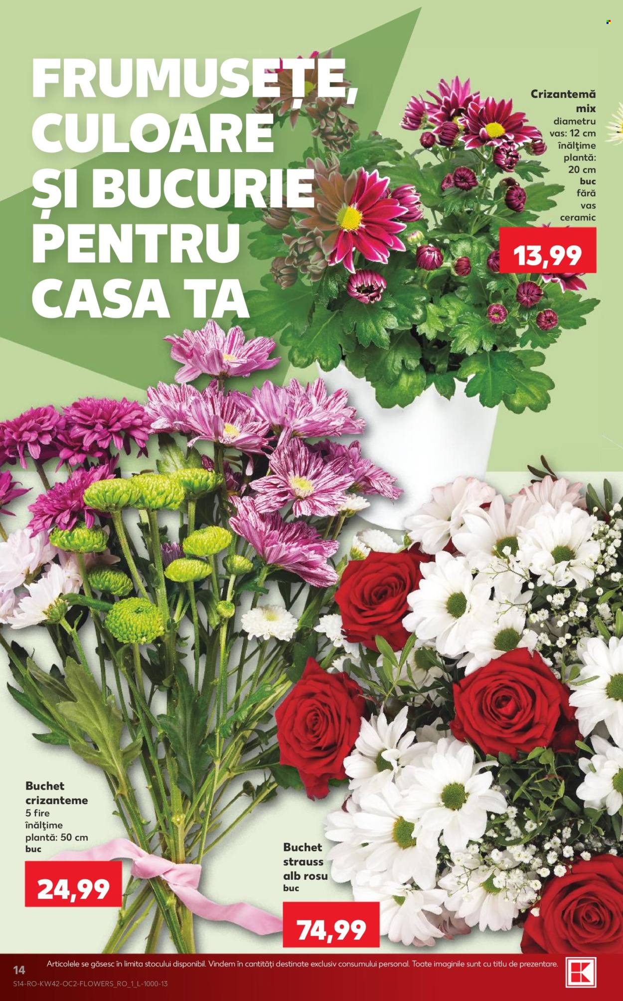 Catalog Kaufland - 14.10.2026 - 20.10.2026. Pagina 14
