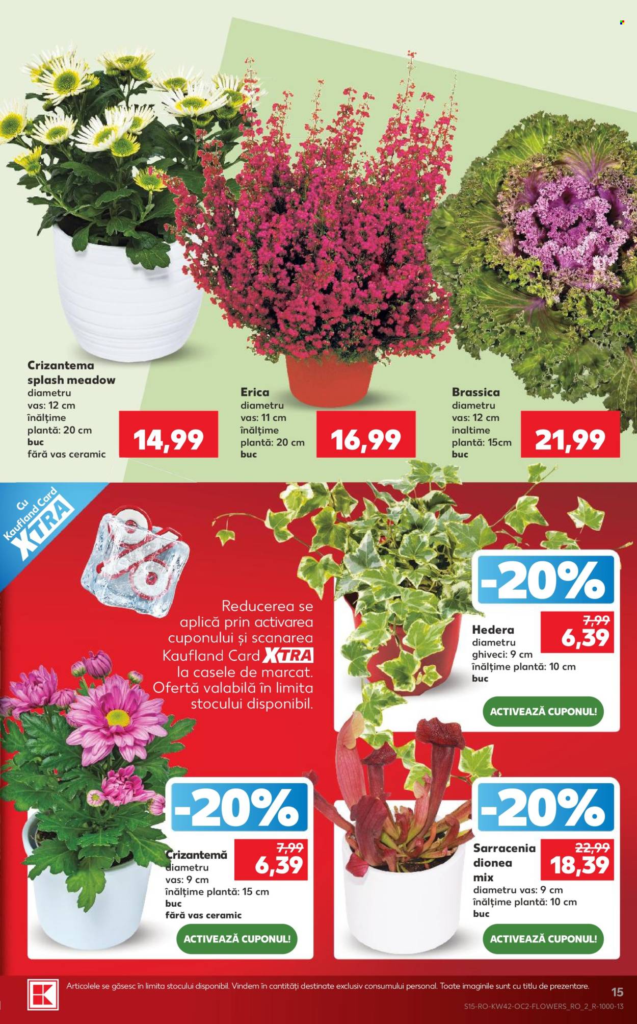 Catalog Kaufland - 14.10.2026 - 20.10.2026. Pagina 15
