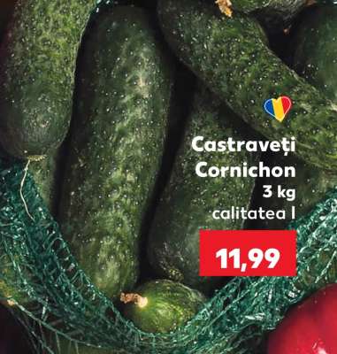Castraveţi cornichon