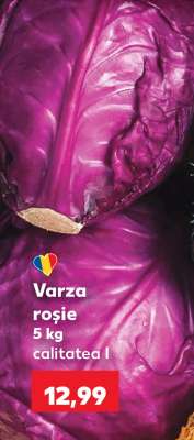 Varză roşie