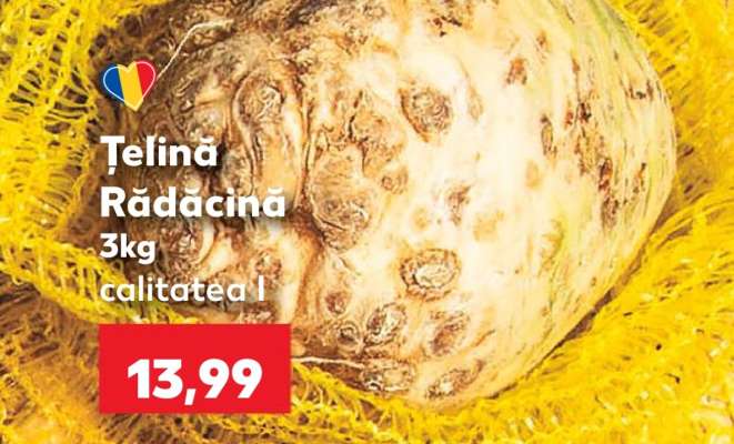Ţelină rădăcină