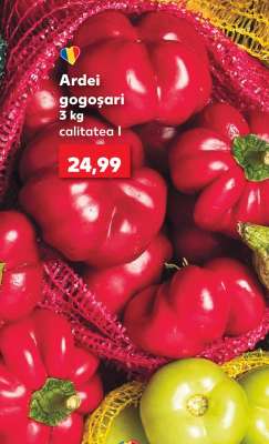 Ardei Gogoşari