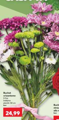 Buchet crizanteme