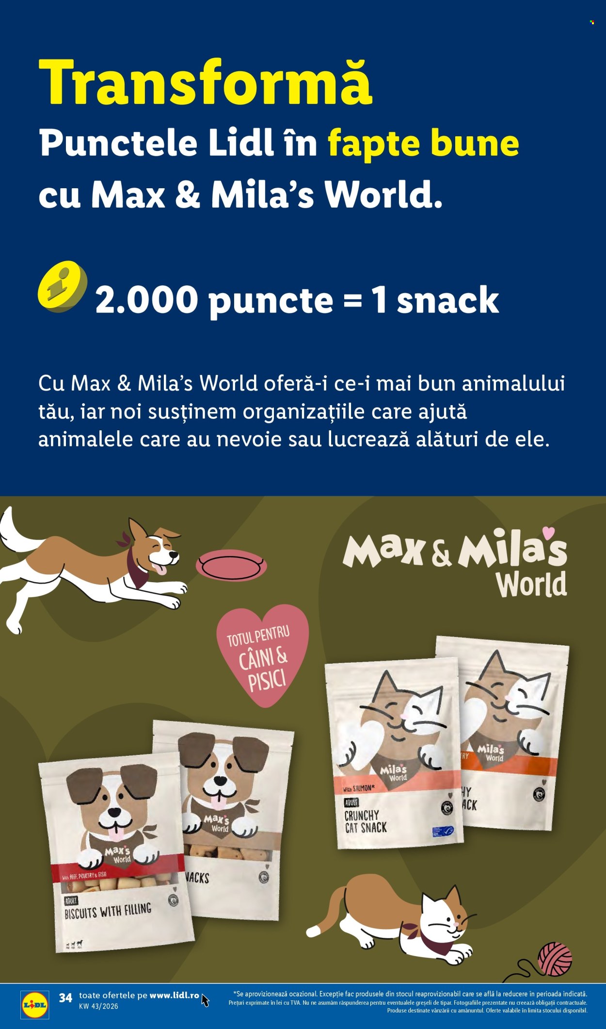 Catalog Lidl - 19.10.2026 - 25.10.2026. Pagina 34