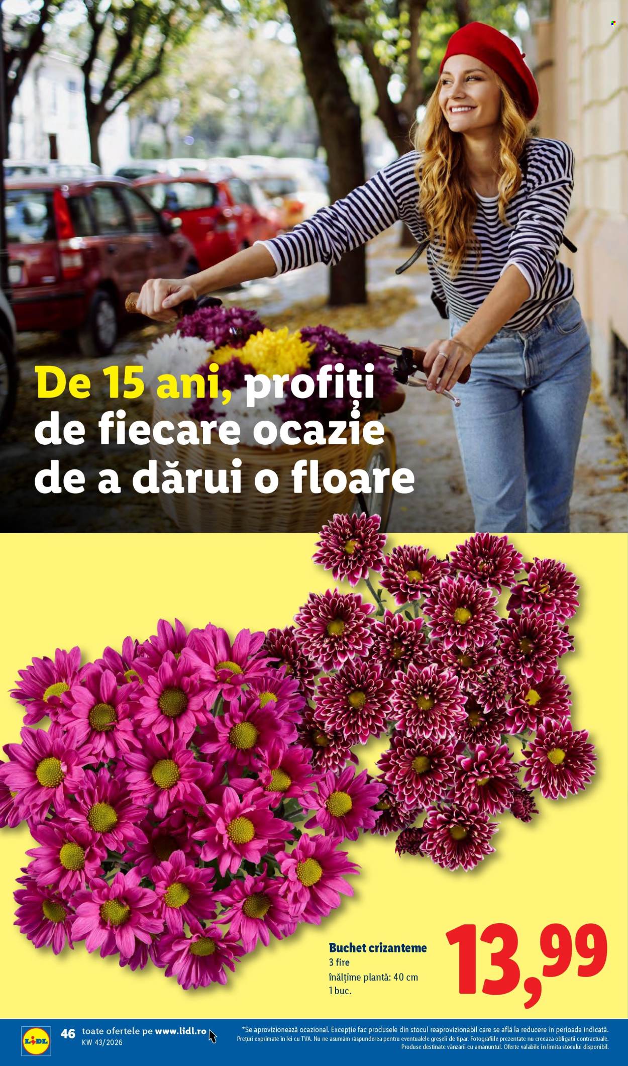 Catalog Lidl - 19.10.2026 - 25.10.2026. Pagina 46