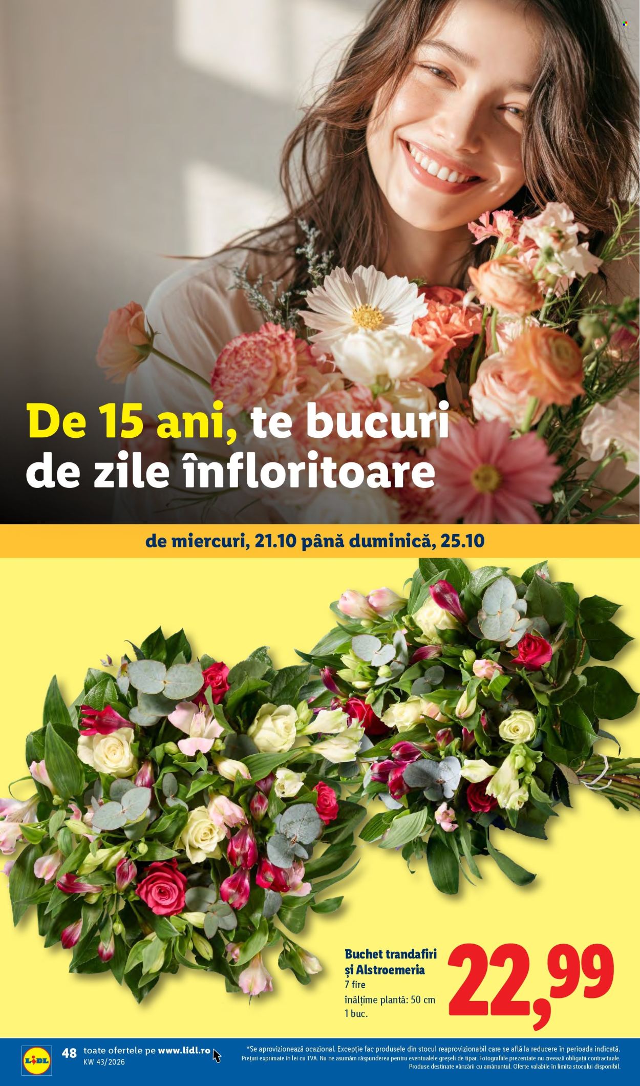 Catalog Lidl - 19.10.2026 - 25.10.2026. Pagina 48