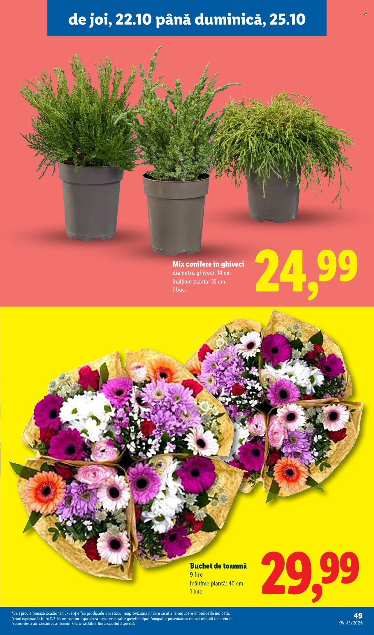 Catalog Lidl - 19.10.2026 - 25.10.2026. Pagina 49
