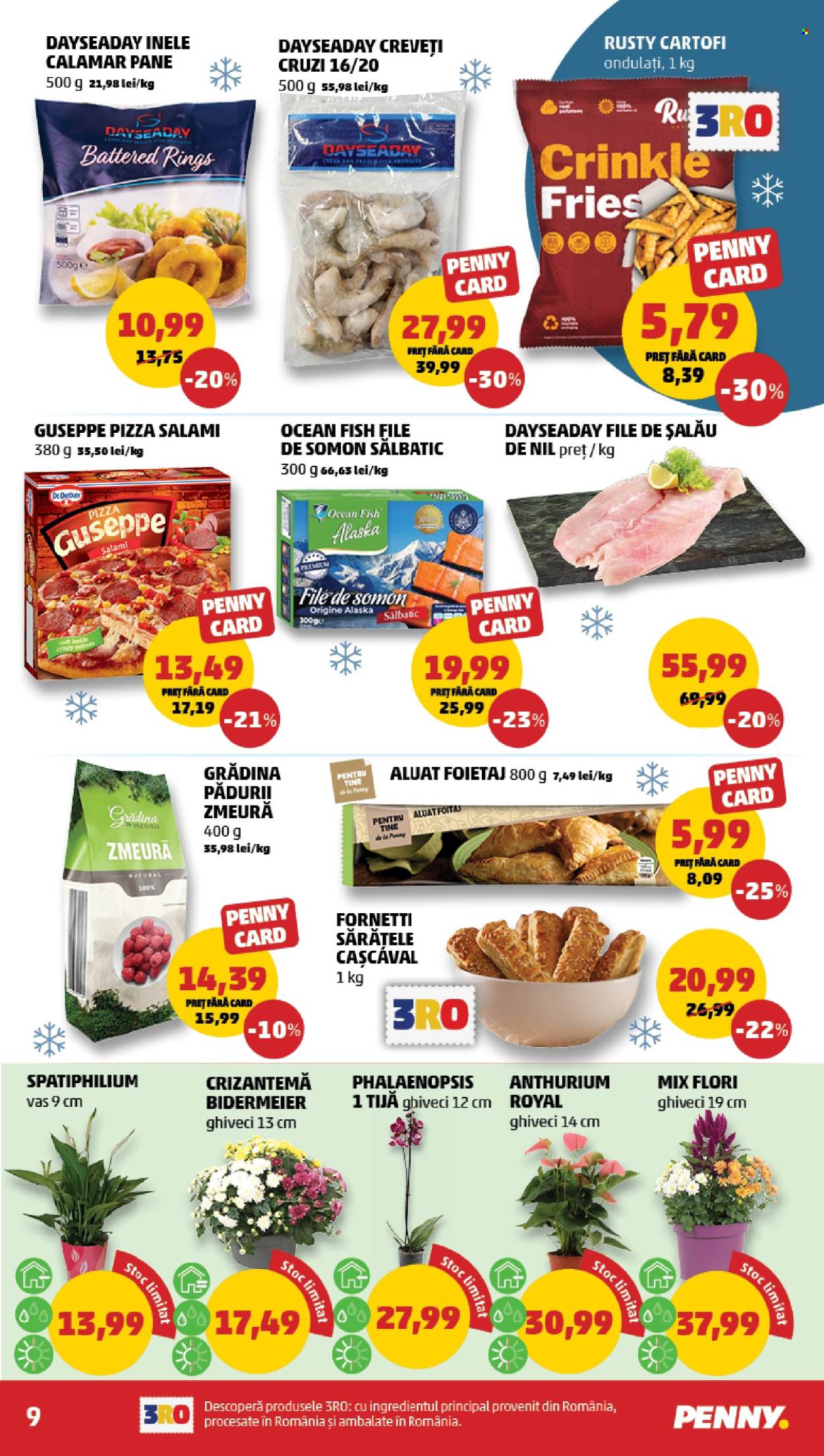 Catalog PENNY - 14.10.2026 - 20.10.2026. Pagina 9