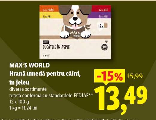 MAX'S WORLD