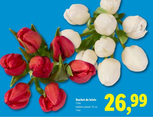 Buchet de lalele
