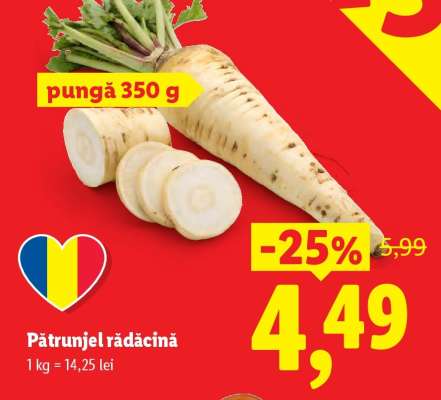 Pătrunjel rădăcină