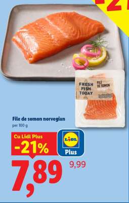 File de somon norvegian