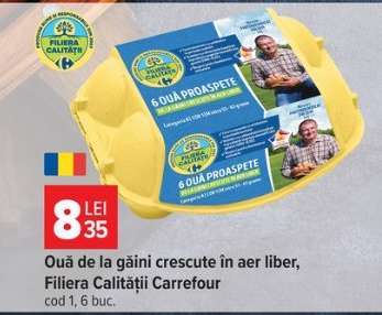 Ouă de la găini crescute în aer liber Filiera Calității Carrefour