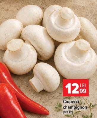 Ciuperci Champignon