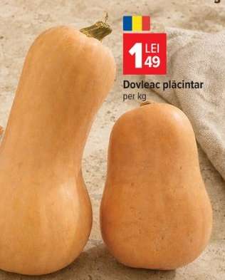 Dovleac plăcintar