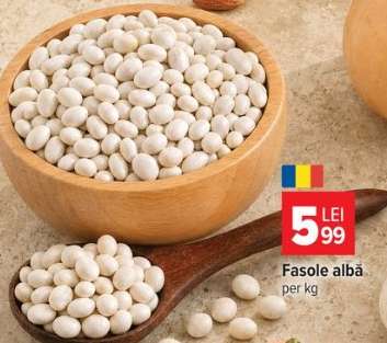 Fasole albă