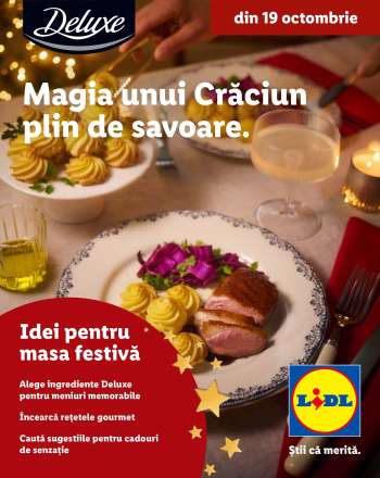 Cataloage Lidl.