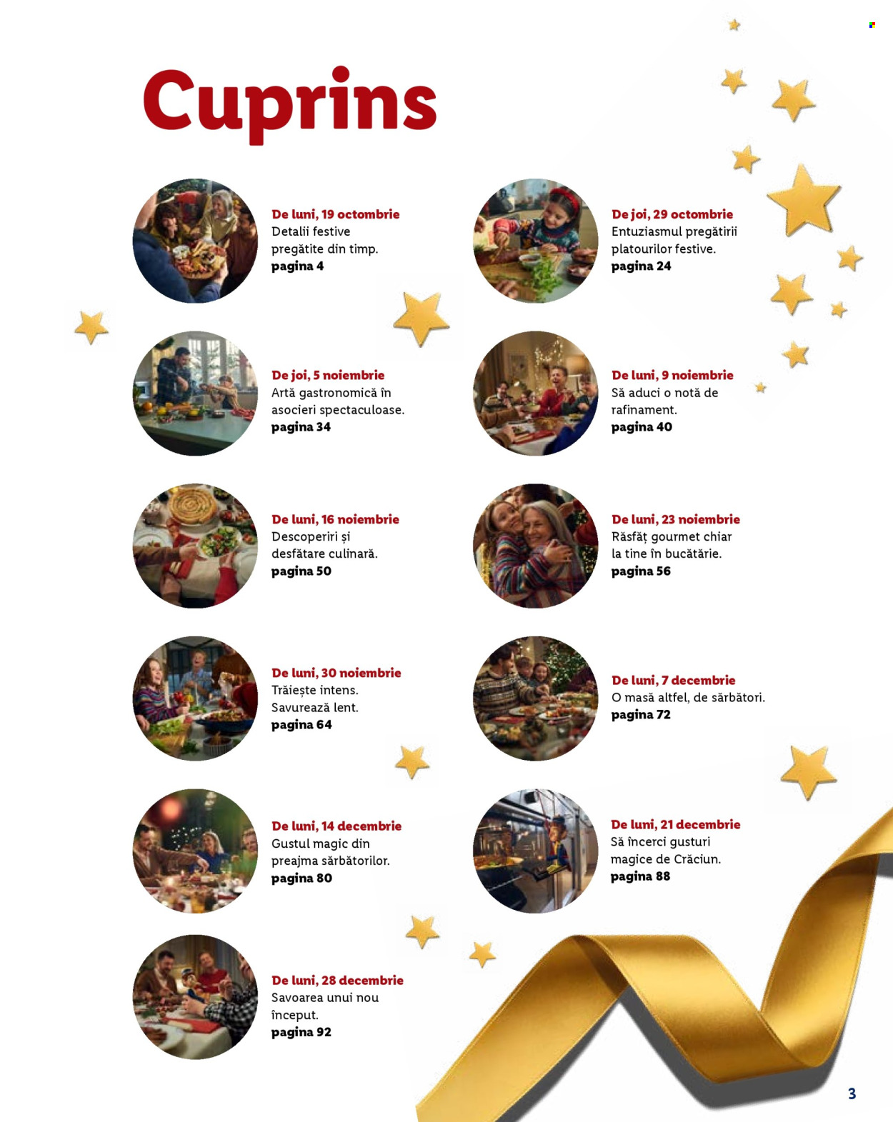 Catalog Lidl. Pagina 3