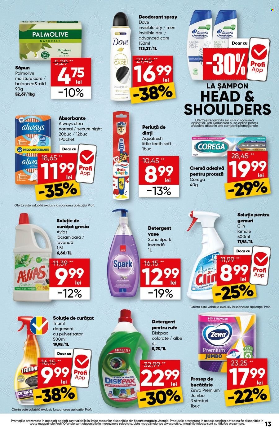 Catalog Profi - 15.10.2026 - 21.10.2026. Pagina 13