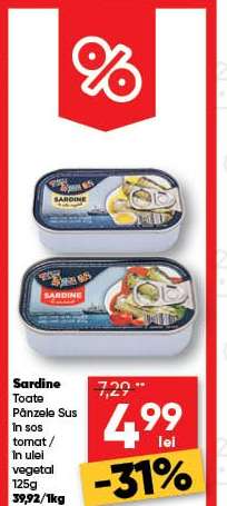Sardine