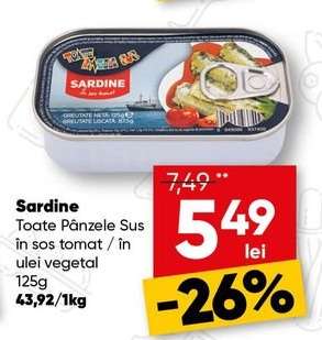 Sardine