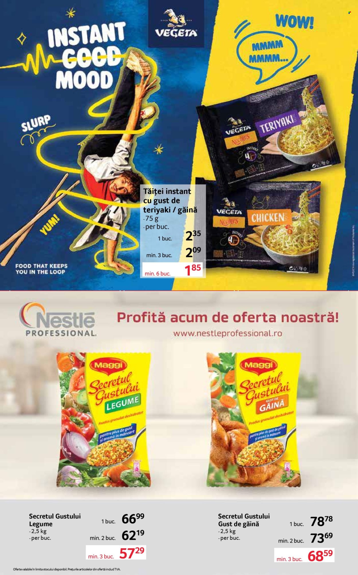 Catalog Selgros - 16.10.2026 - 29.10.2026. Pagina 17