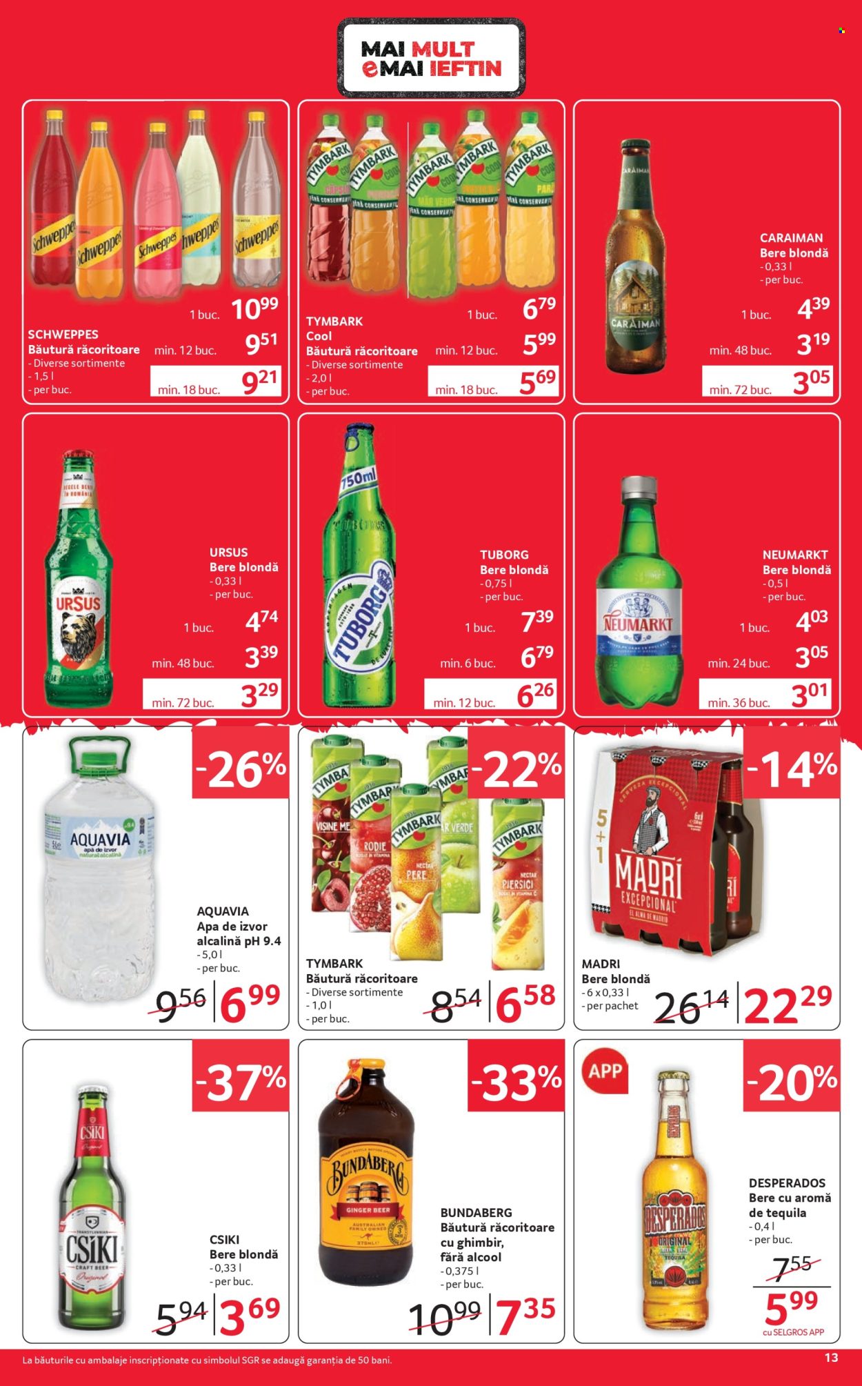Catalog Selgros - 16.10.2026 - 29.10.2026. Pagina 13
