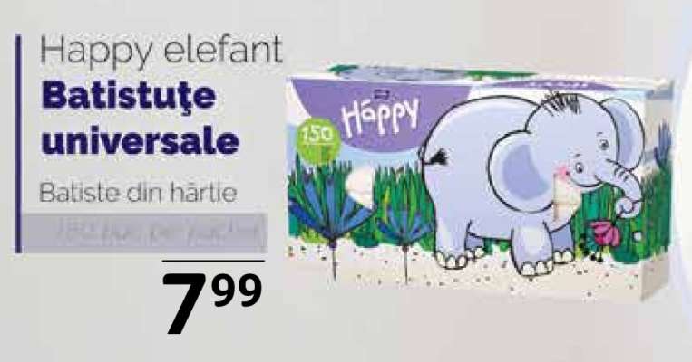 Happy elefant