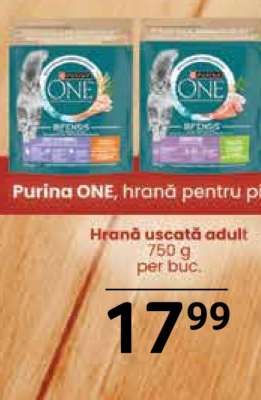 Purina ONE, hrană pentru pisici
