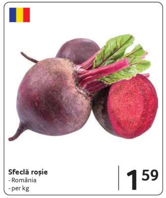 Sfeclă roşie