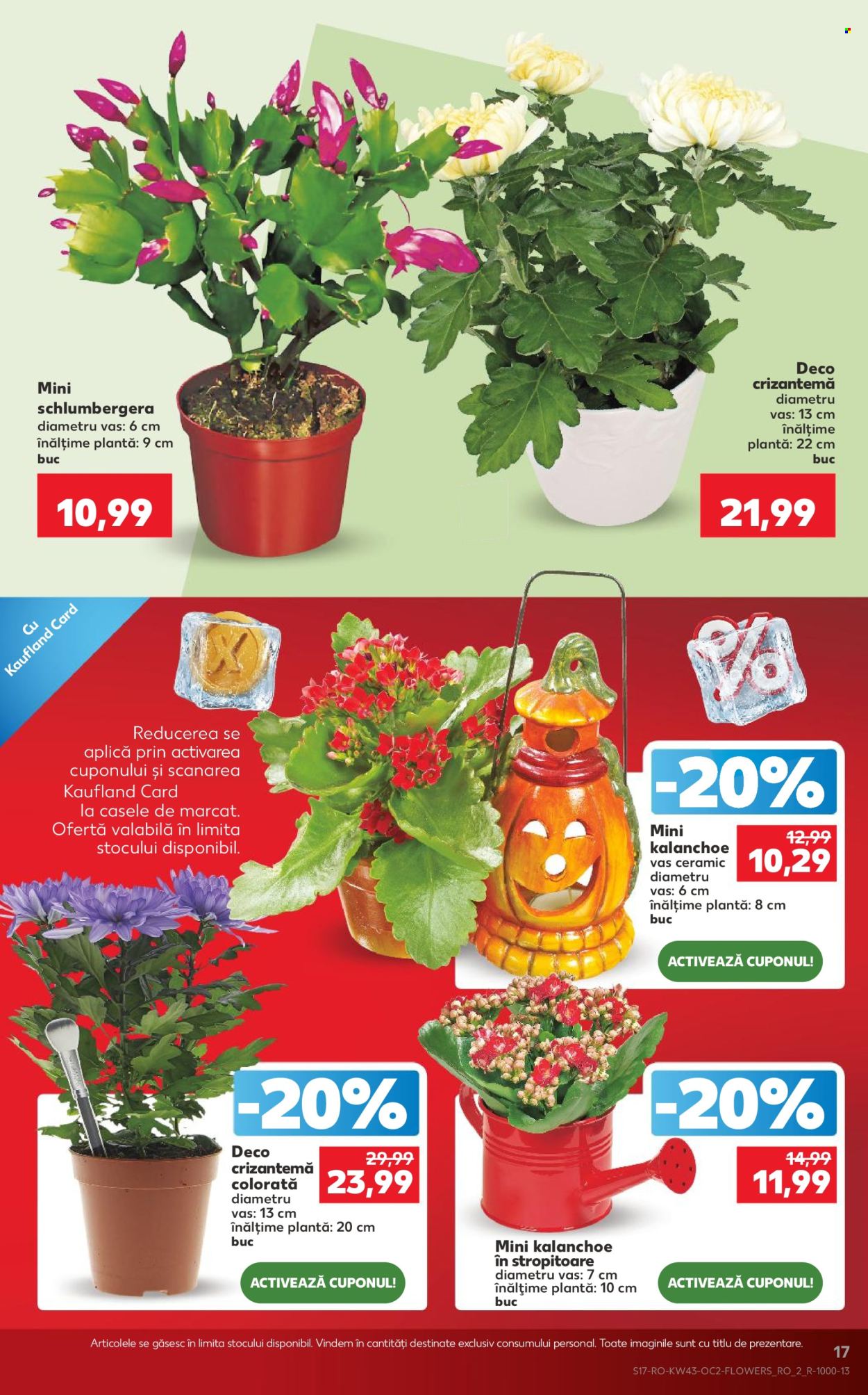 Catalog Kaufland - 21.10.2026 - 27.10.2026. Pagina 17