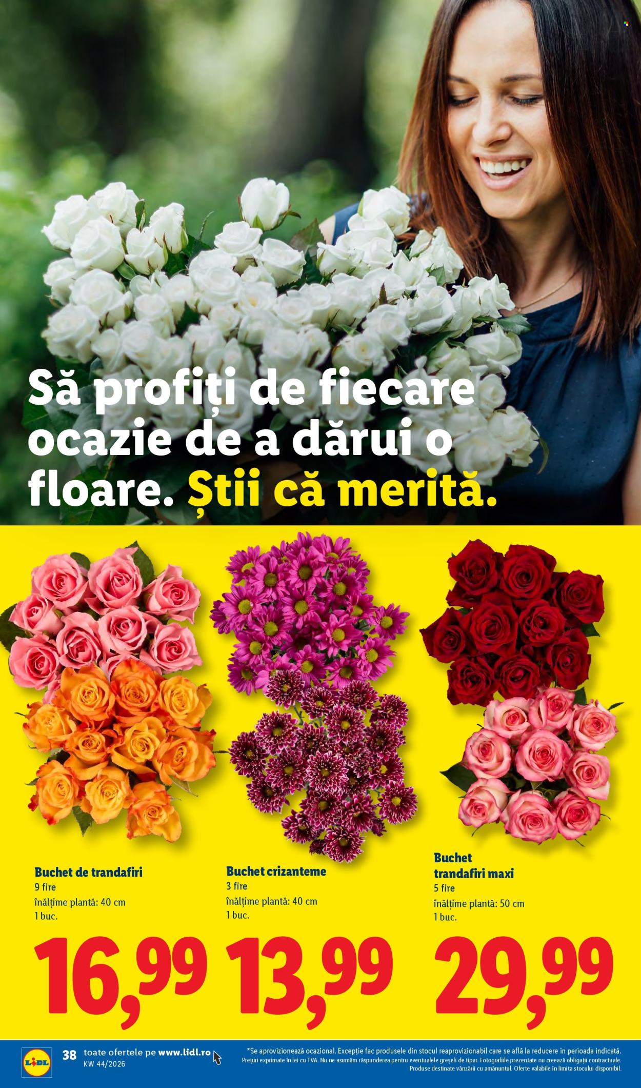 Catalog Lidl - 26.10.2026 - 01.11.2026. Pagina 38