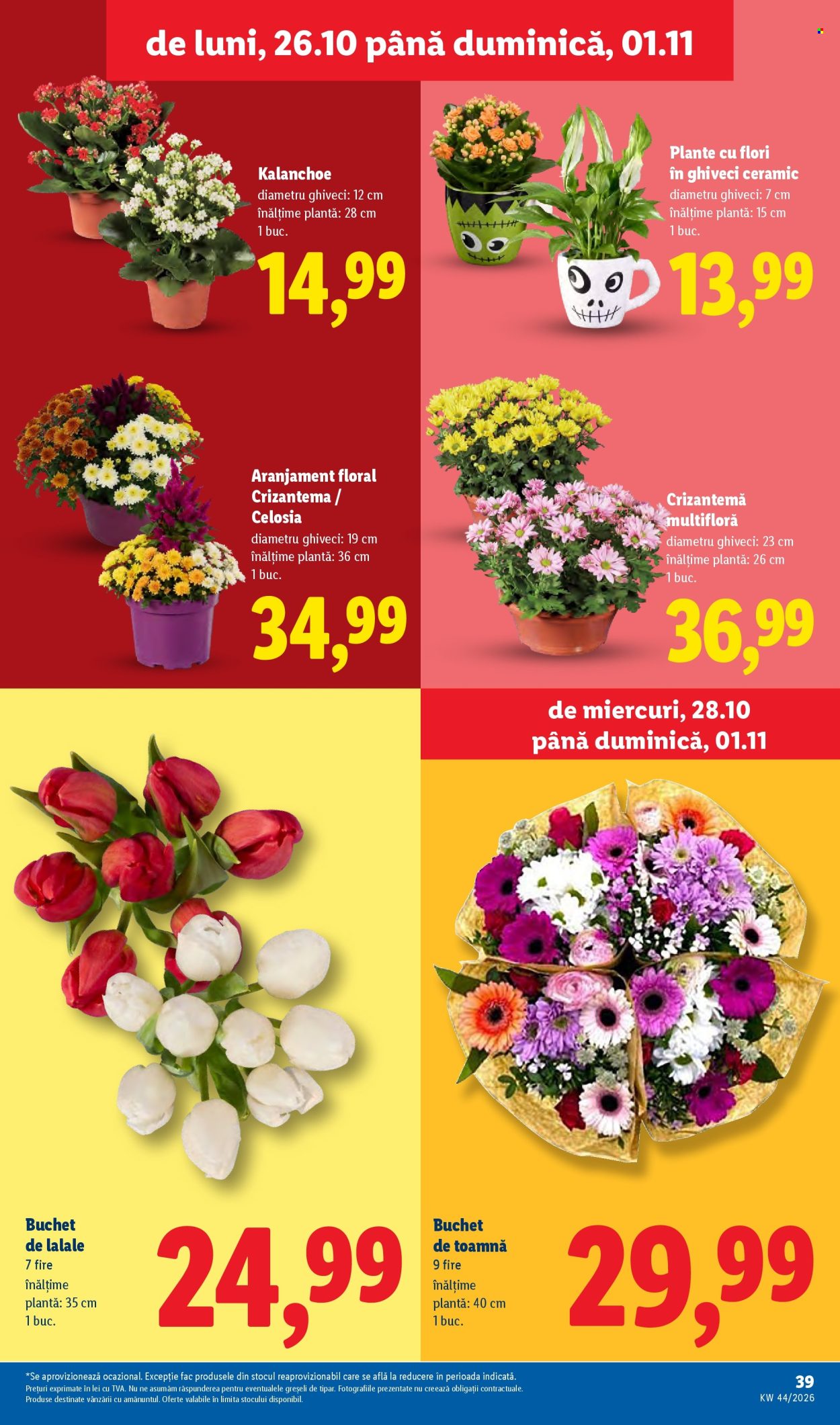 Catalog Lidl - 26.10.2026 - 01.11.2026. Pagina 39