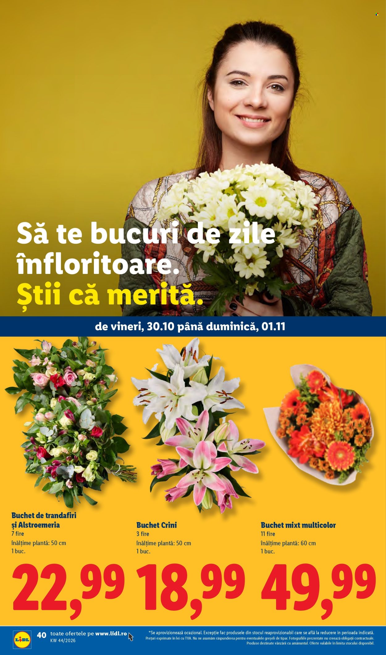 Catalog Lidl - 26.10.2026 - 01.11.2026. Pagina 40