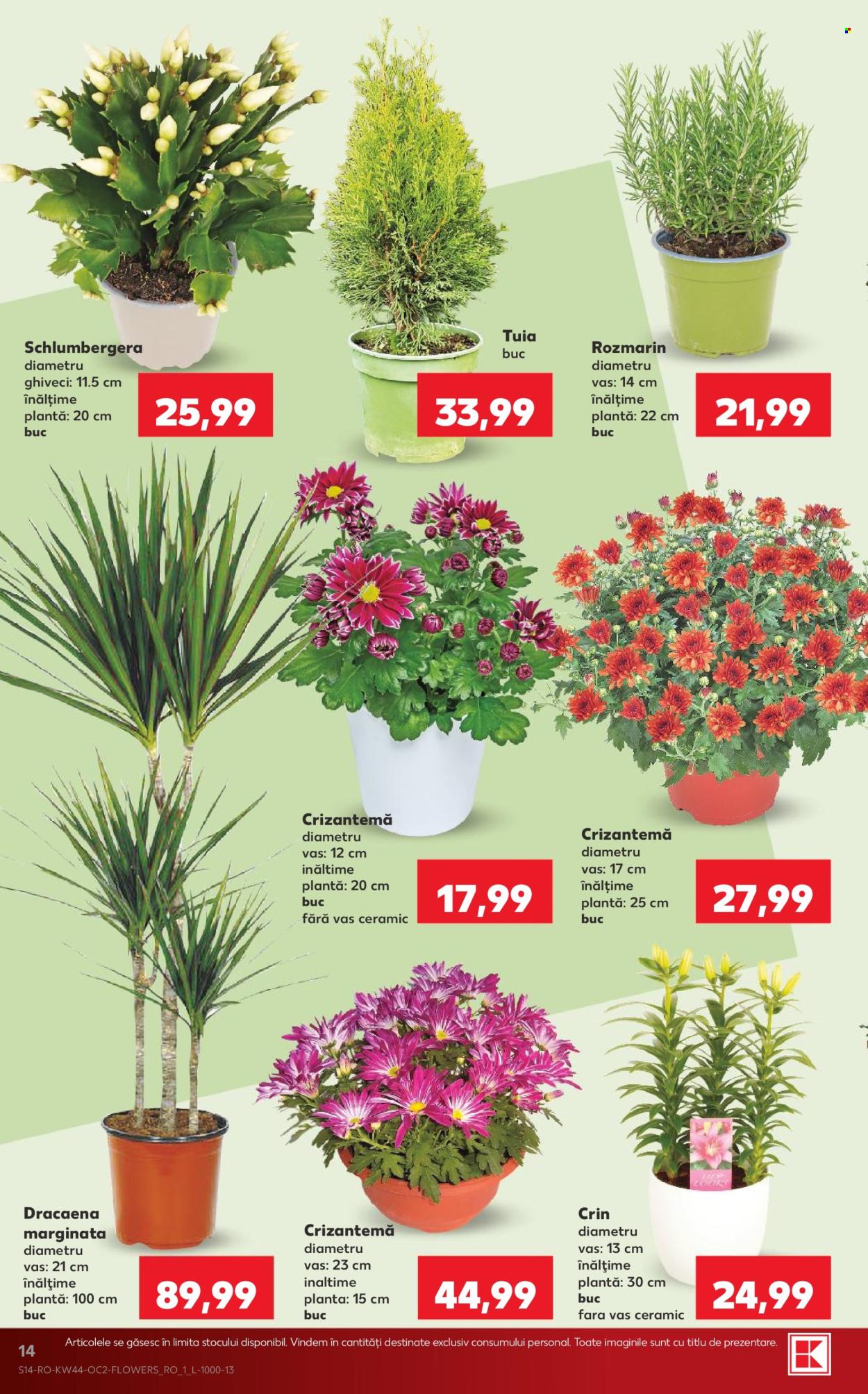 Catalog Kaufland - 28.10.2026 - 03.11.2026. Pagina 14