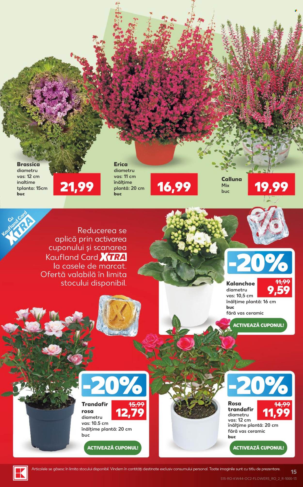 Catalog Kaufland - 28.10.2026 - 03.11.2026. Pagina 15