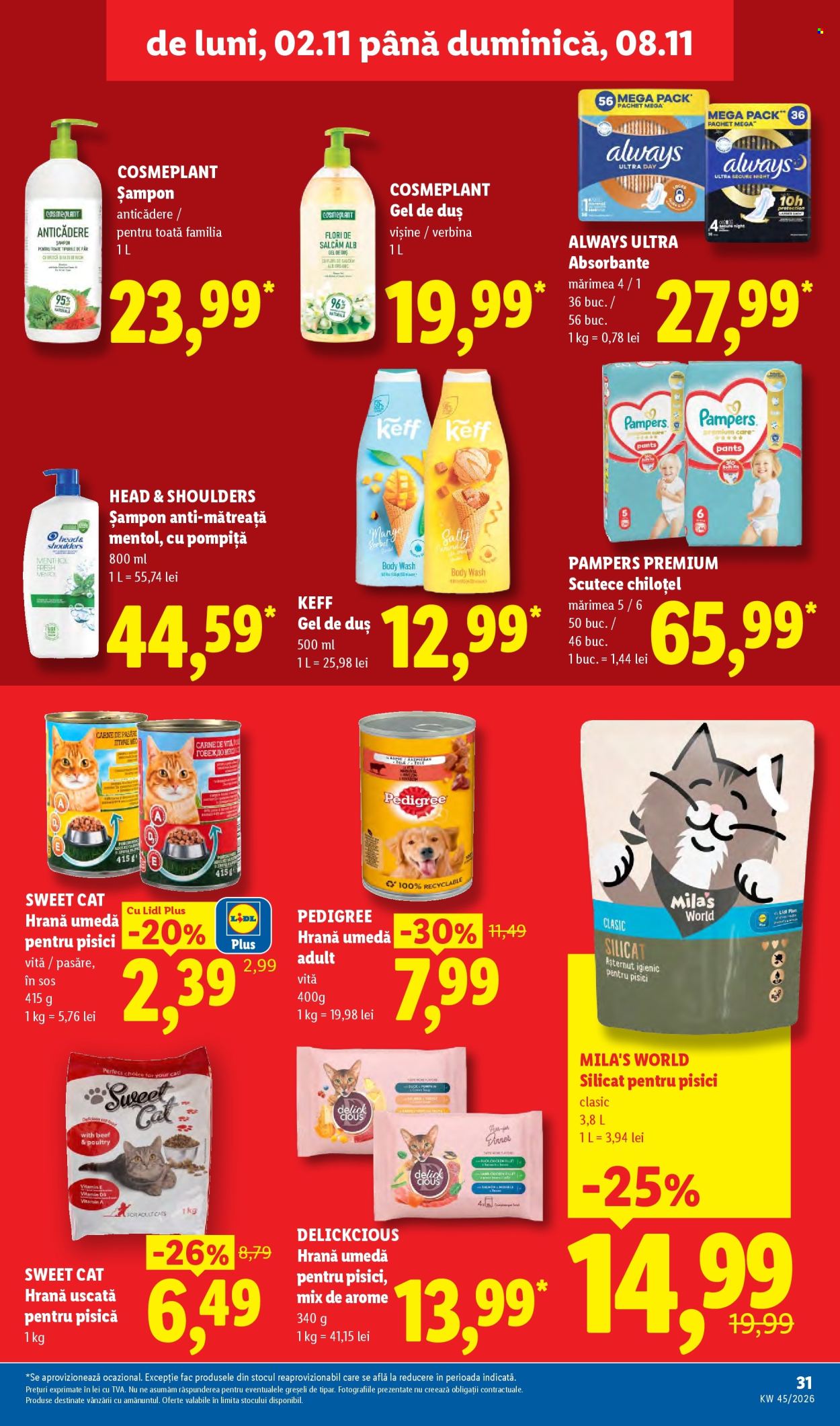 Catalog Lidl - 02.11.2026 - 08.11.2026. Pagina 31