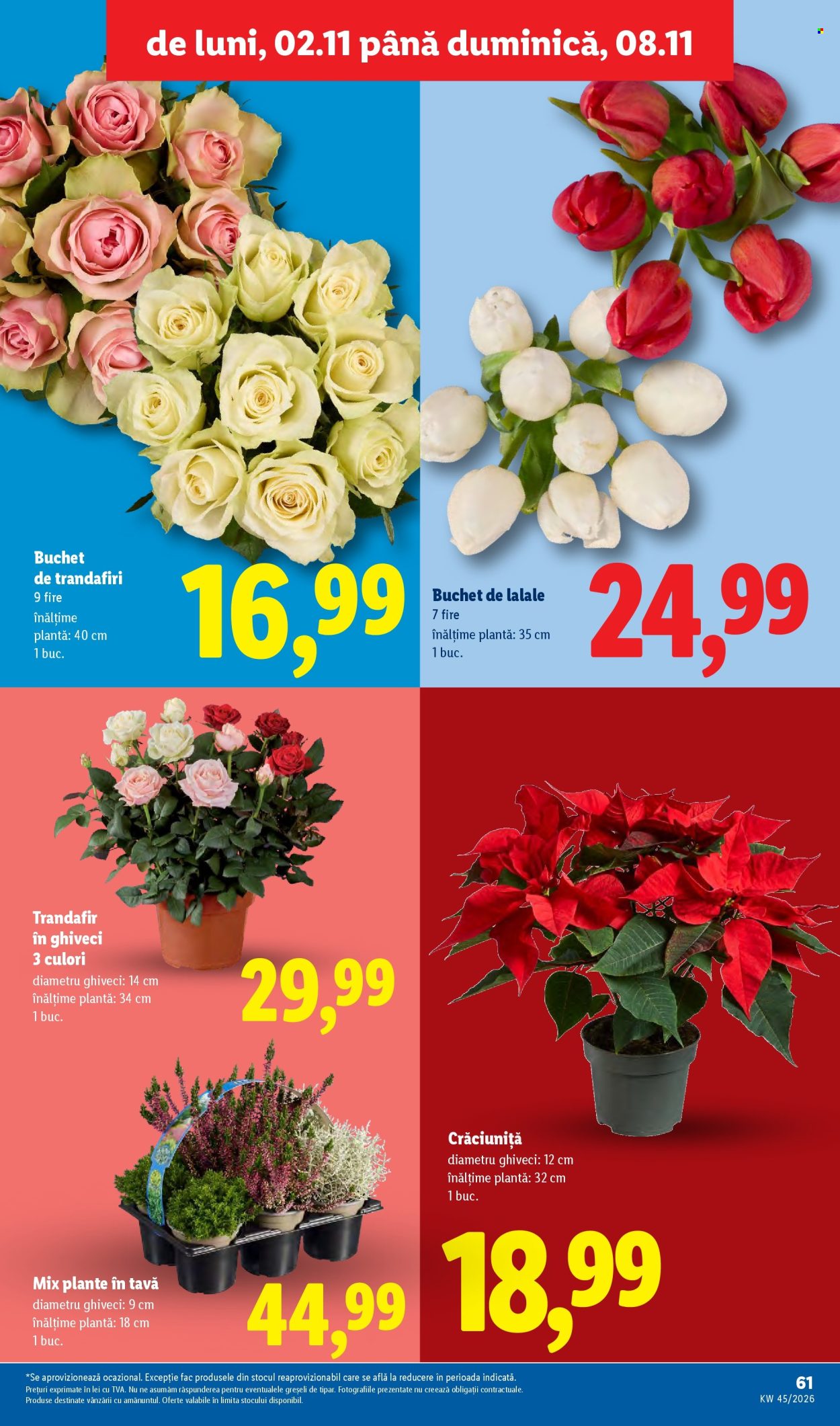 Catalog Lidl - 02.11.2026 - 08.11.2026. Pagina 61