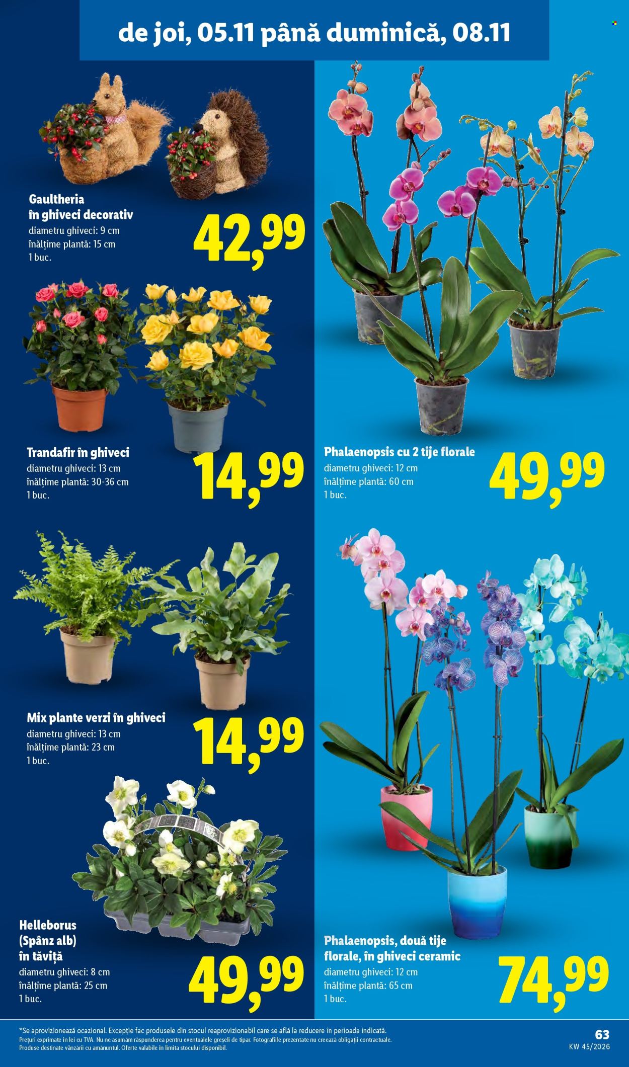 Catalog Lidl - 02.11.2026 - 08.11.2026. Pagina 63