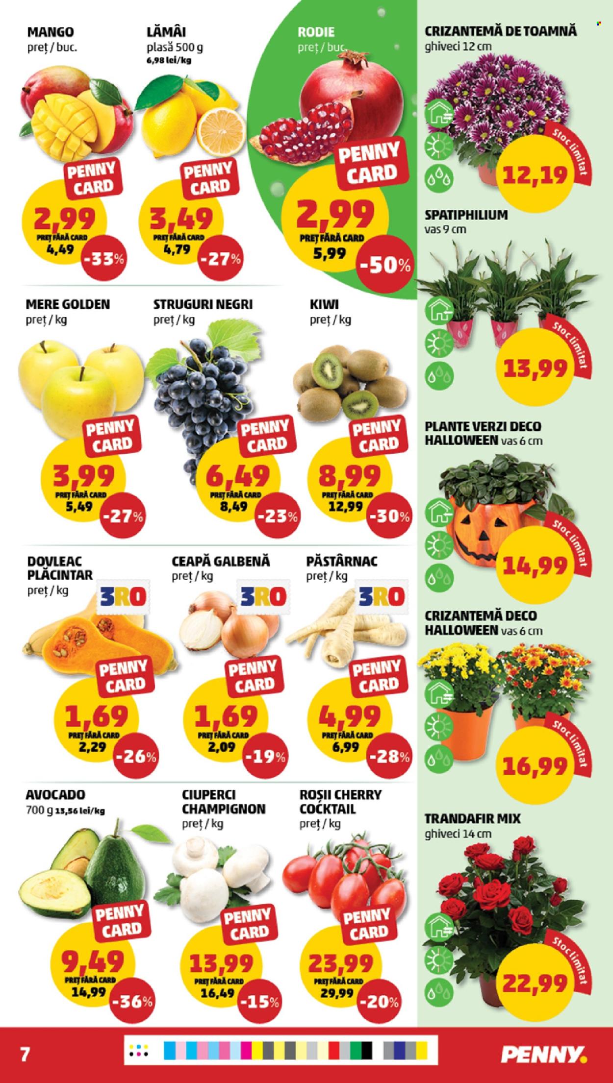 Catalog PENNY - 28.10.2026 - 03.11.2026. Pagina 7