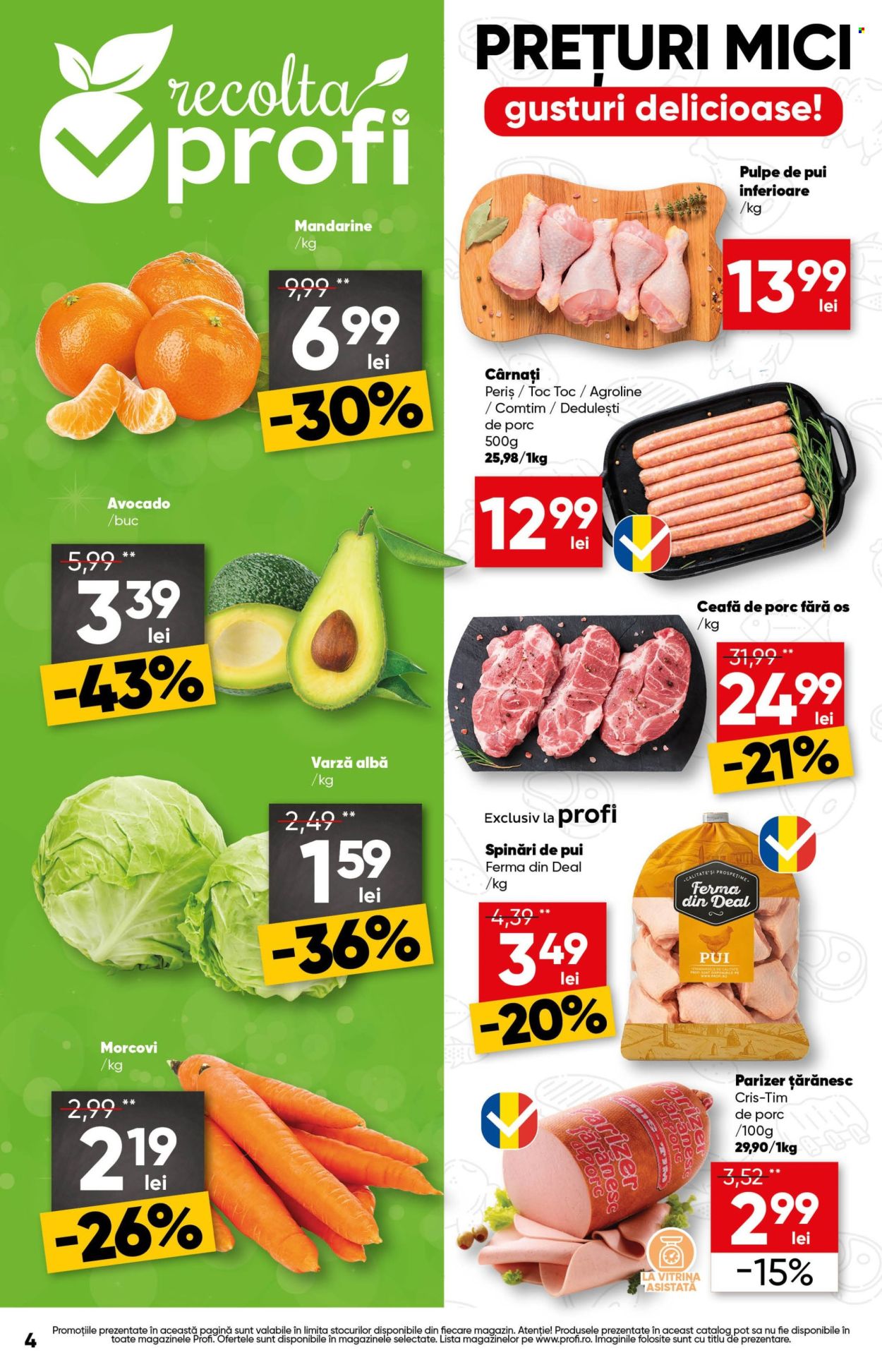Catalog Profi - 29.10.2026 - 04.11.2026. Pagina 4